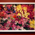 Marilyn SchneiderIkea Flowers, 2013digital print, Ikea frame