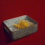 Mark BrownMess Tin Zonen Blume, 2013army mess tin, soil, plant matter, paint