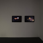 Still life series, 2007high definition videoOcea Sellar, 2007