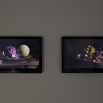 Still life series, 2007high definition videoOcea Sellar, 2007